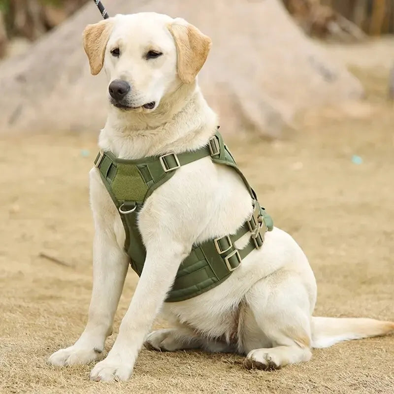 Arnês tático para cães médios e grandes, sem tração, colete ajustável para treinamento, caça, caminhada, militar